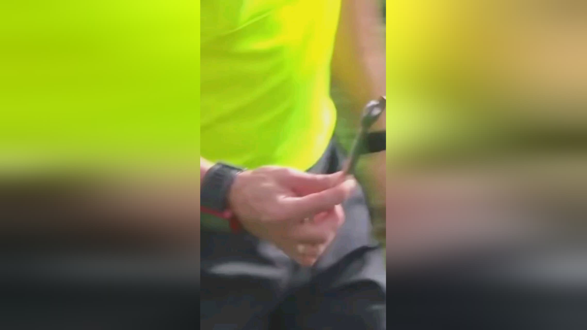奏在比