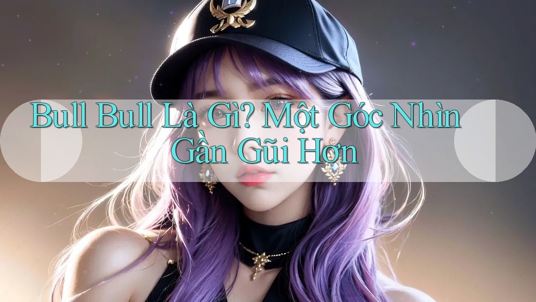Bull Bull Là Gì? Một Góc Nhìn Gần Gũi Hơn Bull Bull Là Gì? Một Góc Nhìn Gần Gũi Hơn