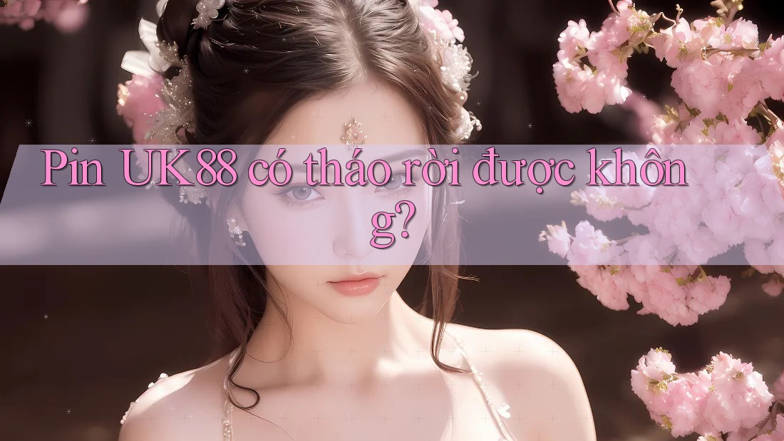 Pin UK88 có tháo rời được không?