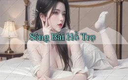 sòng bài Hỗ trợ